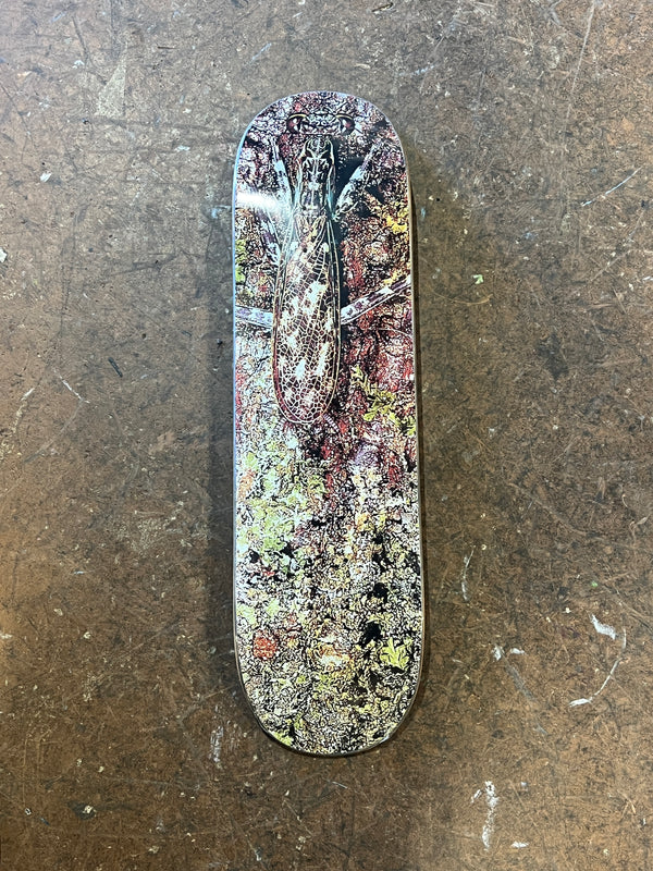 Glue Skateboards- Coloration- 8.625
